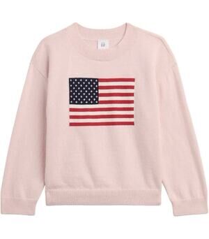Gap Kids Pink Cotton Knit Crewneck Flag Pullover Sweater Long Sleeve 2Y